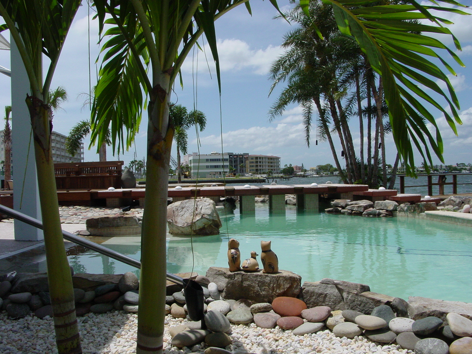 Pool and Spa Installation & remodeling Services Tampa Bay, Clearwater